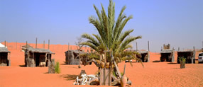 Nomadic Desert Camp